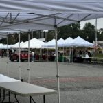 10 x 10 Canopies Tents