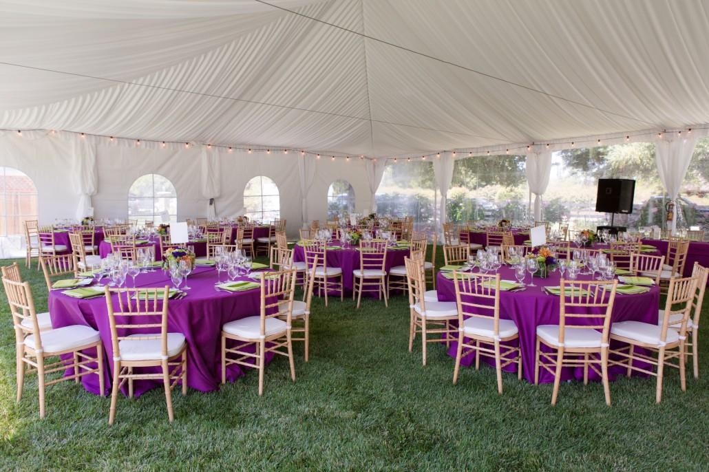 Wedding Rental Packages